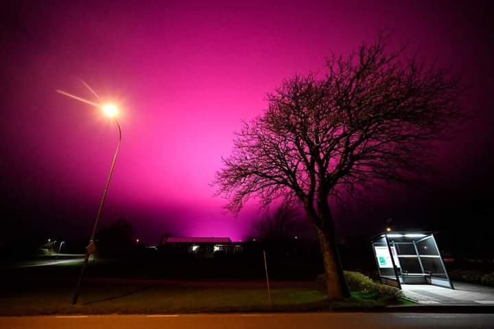 L’éclairage LED d’un champ de tomates produit un ciel fuchsia la nuit. © Johan Nilsson / TT / Kod 50090, @ahmedelraffa, Twitter